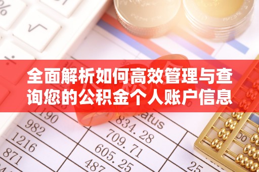 安溪全面解析如何高效管理与查询您的公积金个人账户信息