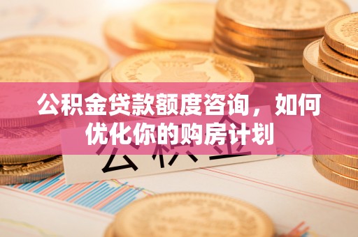 安溪公积金贷款额度咨询，如何优化你的购房计划